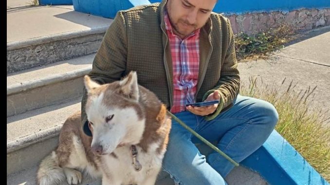 Realizarán Jornada de Esterilización de caninos y felinos en el Barrio de La Purísima