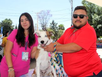 🐾💚 ¡Pabellón de Arteaga, muchas gracias!