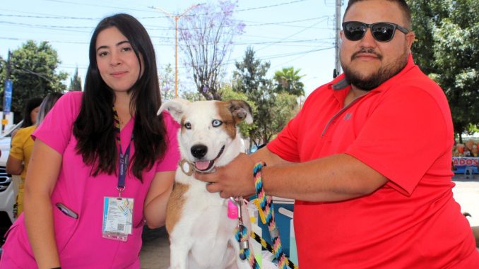 🐾💚 ¡Pabellón de Arteaga, muchas gracias!