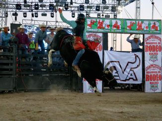 Concluyó la etapa regional de rodeo de la zona Bajío