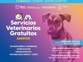 🐶🐱💚 ¡En Asientos, cuidamos a quienes más quieres!