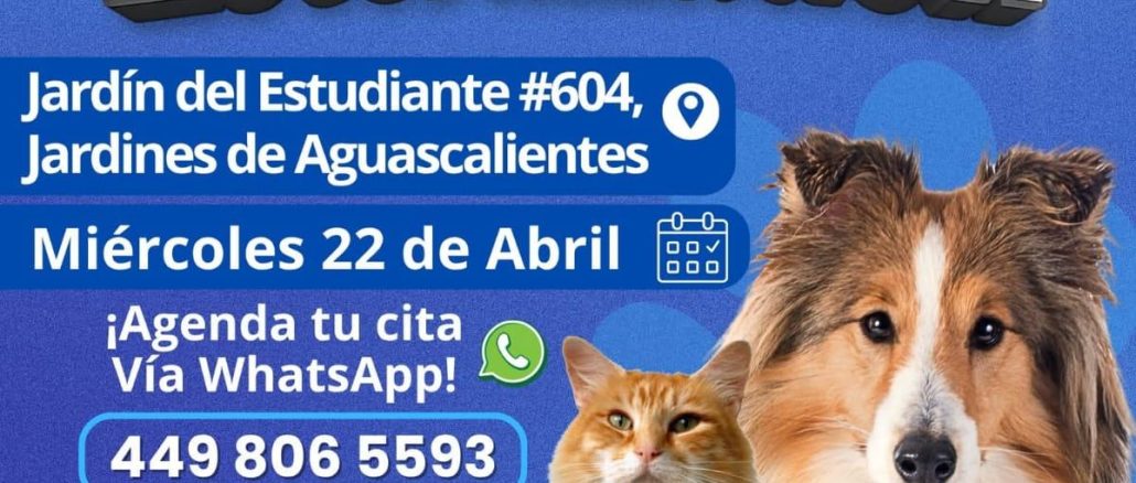 Sé un dueño responsable; cuidar a las Mascotas es un trabajo en conjunto: Alma Hilda