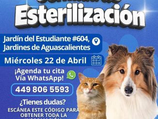 Sé un dueño responsable; cuidar a las Mascotas es un trabajo en conjunto: Alma Hilda