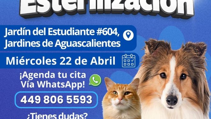 Sé un dueño responsable; cuidar a las Mascotas es un trabajo en conjunto: Alma Hilda