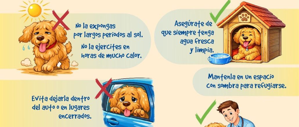 En esta época de calor, cuida a tu Mascota  🐾☀️