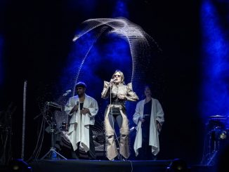 Hello Seahorse! no es solo una banda, son los pioneros del indie pop latino