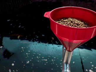 UAA recibe nueva patente: un dispositivo que optimiza la alimentación en la producción acuícola