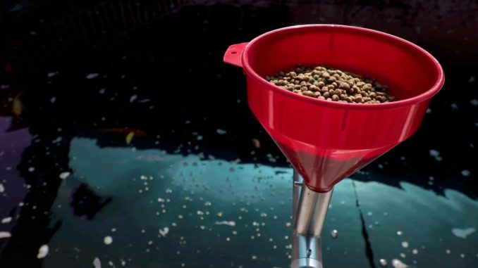 UAA recibe nueva patente: un dispositivo que optimiza la alimentación en la producción acuícola