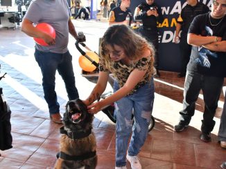 Invita Policía Municipal a presenciar exhibiciones del Grupo K-9 en la Isla San Marcos