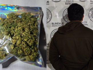 Policías del Mando Coordinado detienen en la comunidad de Ojocaliente, Calvillo, a sujeto en poder de bolsa que contenía hierba verde al parecer marihuana