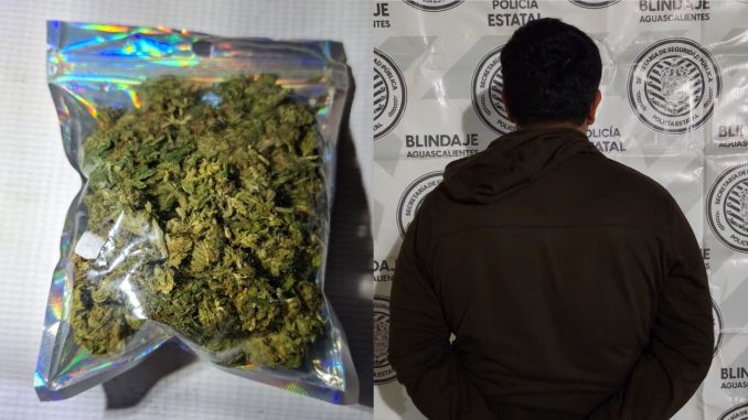 Policías del Mando Coordinado detienen en la comunidad de Ojocaliente, Calvillo, a sujeto en poder de bolsa que contenía hierba verde al parecer marihuana