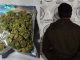 Policías del Mando Coordinado detienen en la comunidad de Ojocaliente, Calvillo, a sujeto en poder de bolsa que contenía hierba verde al parecer marihuana