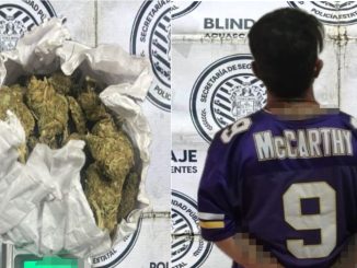 Policías del Mando coordinado detienen a sujeto en poder de hierba verde al parecer marihuana