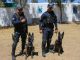 Fortalece la Unidad K9 de la Policía Municipal labores de Seguridad en Aguascalientes