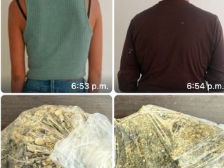 Policías Estatales detienen a una pareja en el fraccionamiento Viñedos de San Felipe asegurándoles dos bolsas con al parecer marihuana