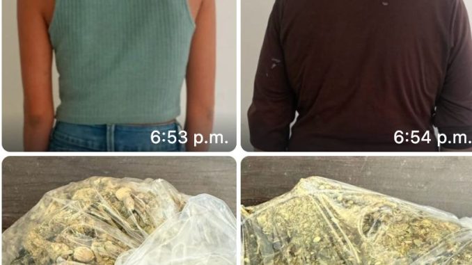 Policías Estatales detienen a una pareja en el fraccionamiento Viñedos de San Felipe asegurándoles dos bolsas con al parecer marihuana