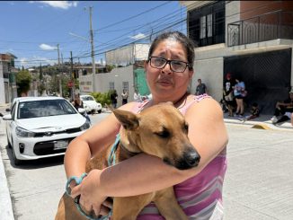 Municipio de Aguascalientes e ISSEA realizarán nueva Jornada de Esterilización canina y felina