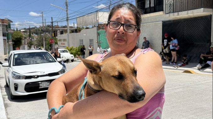 Municipio de Aguascalientes e ISSEA realizarán nueva Jornada de Esterilización canina y felina