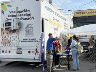 Municipio de Aguascalientes y Humane World for Animals realizarán Jornada de Salud canina y felina