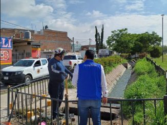 Impulsa Leo Montañez limpieza intensiva de caimanes y alcantarillas