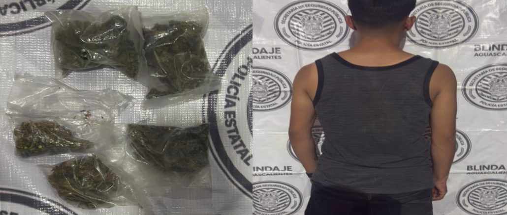 Policías del Mando Coordinado detuvieron a sujeto en poder de envoltorios con hierba verde