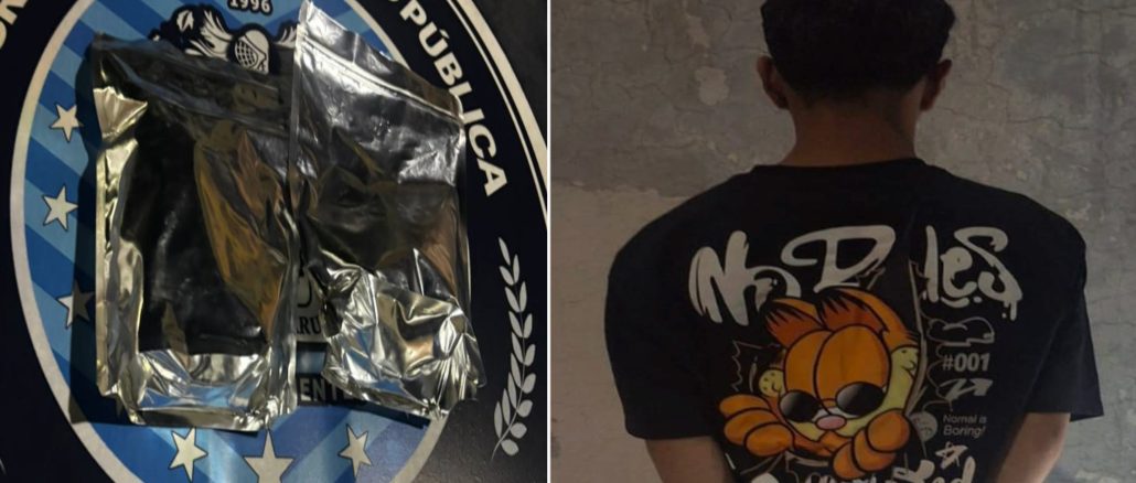 Policías Estatales detuvieron a sujeto en poder de dos bolsas con hierba verde