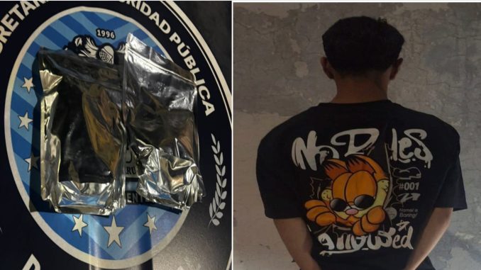Policías Estatales detuvieron a sujeto en poder de dos bolsas con hierba verde