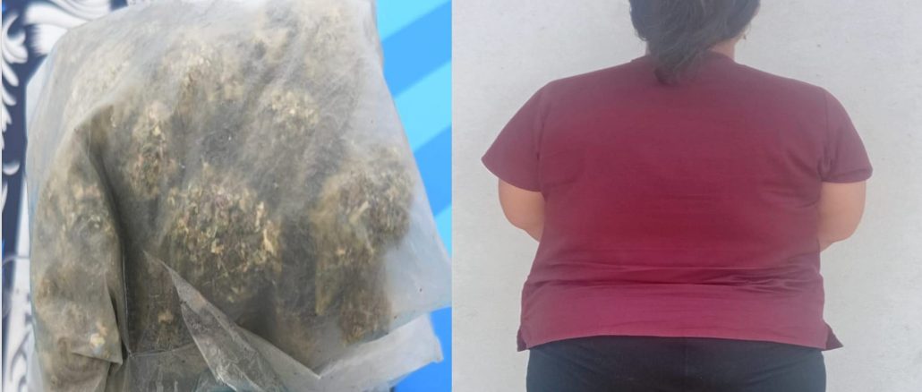 Policías Estatales detienen en un puesto de Seguridad Policial instalado en la comunidad El Taray a Mujer en poder de bolsa con aproximadamente 100 grs de hierba verde