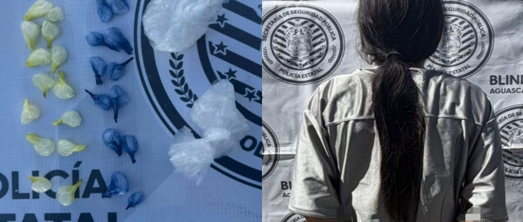Policías Estatales detuvieron en VNSA a Mujer que tenía en su poder 28 envoltorios con sustancia granulada al tacto