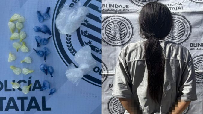 Policías Estatales detuvieron en VNSA a Mujer que tenía en su poder 28 envoltorios con sustancia granulada al tacto