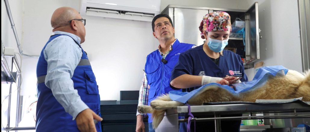 Impulsa Leo Montañez la tenencia responsable de Mascotas a través de Jornadas de Esterilización