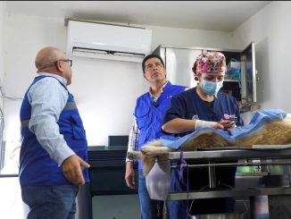 Impulsa Leo Montañez la tenencia responsable de Mascotas a través de Jornadas de Esterilización