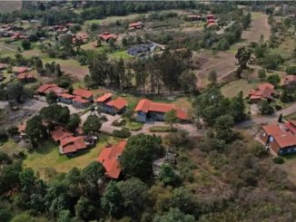 Subastan el terreno donde cayó "El Mencho'