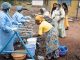 República Democrática del Congo eleva a 238 las muertes por la epidemia de ébola