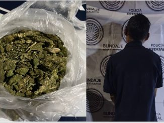 Policías Estatales detuvieron en la colonia Insurgentes a sujeto en poder de bolsa con hierba verde al parecer marihuana