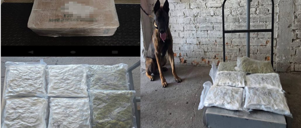 Policías Estatales aseguran aproximadamente 4 kilogramos de hierba verde en empresa de paquetería al norte de la ciudad de Aguascalientes