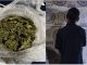 Policías Estatales detuvieron en la colonia Insurgentes a sujeto en poder de bolsa con hierba verde al parecer marihuana