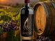 Vinos de Aguascalientes conquistan España con Medallas Internacionales
