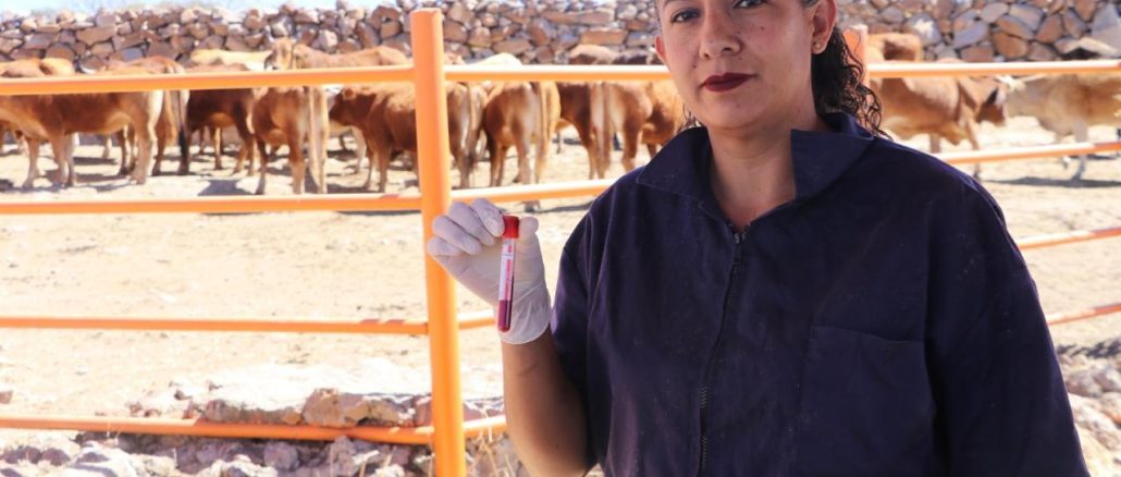 Aguascalientes refuerza acciones de prevención y vigilancia sanitaria en el ganado