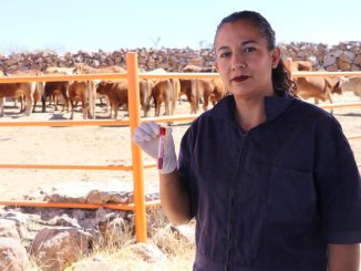 Aguascalientes refuerza acciones de prevención y vigilancia sanitaria en el ganado