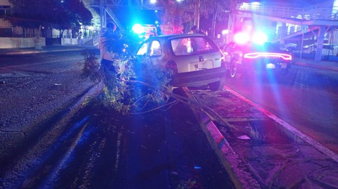 Policía Vial atiende choque contra árbol en Av. Héroe de Nacozari
