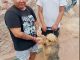 Llegarán nuevos servicios de esterilización canina y felina a VNSA