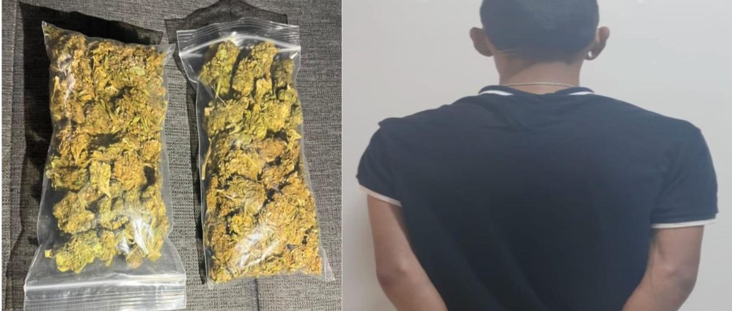 Sujeto en poder de bolsas con hierba verde al parecer marihuana fue detenido por Policías Estatales