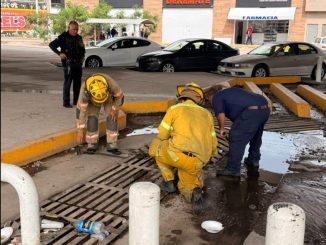 Refuerza Municipio operativo de limpieza de caimanes y cruces viales para prevenir inundaciones