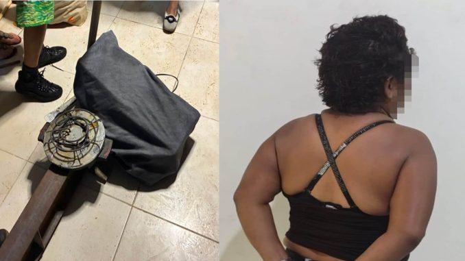 Policías Estatales detuvieron a una persona de sexo femenino acusada de allanamiento de morada y robo, su captura en el fraccionamiento Paseos del Sur