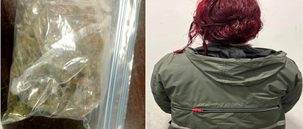 Policías Estatales detuvieron a una Mujer en poder de aproximadamente 60 grs de hierba verde al parecer marihuana