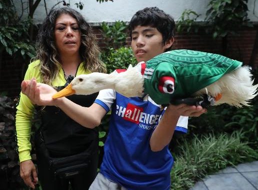 ¿Puede el pato ‘Merlín’ entrar al México vs Chequia del Mundial 2026?