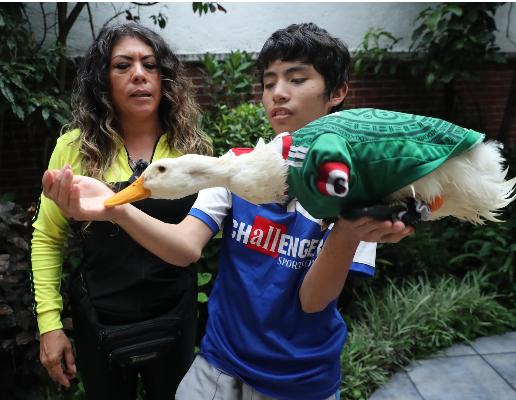 ¿Puede el pato ‘Merlín’ entrar al México vs Chequia del Mundial 2026?