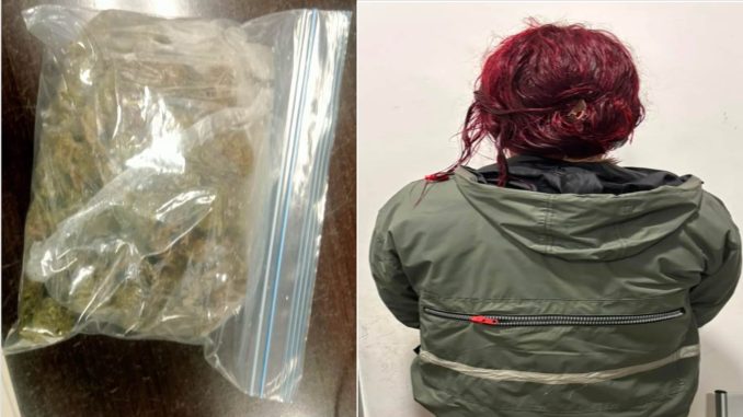 Policías Estatales detuvieron a una Mujer en poder de aproximadamente 60 grs de hierba verde al parecer marihuana