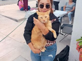 Municipio de Aguascalientes e ISSEA llevarán Jornada de Esterilización canina y felina a Pilar Blanco